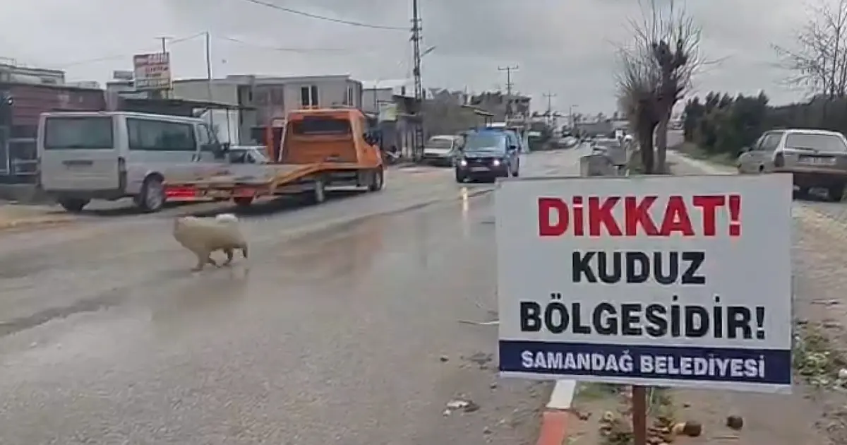 Hatay'da 4 mahalle kuduz nedeniyle karantinaya alındı