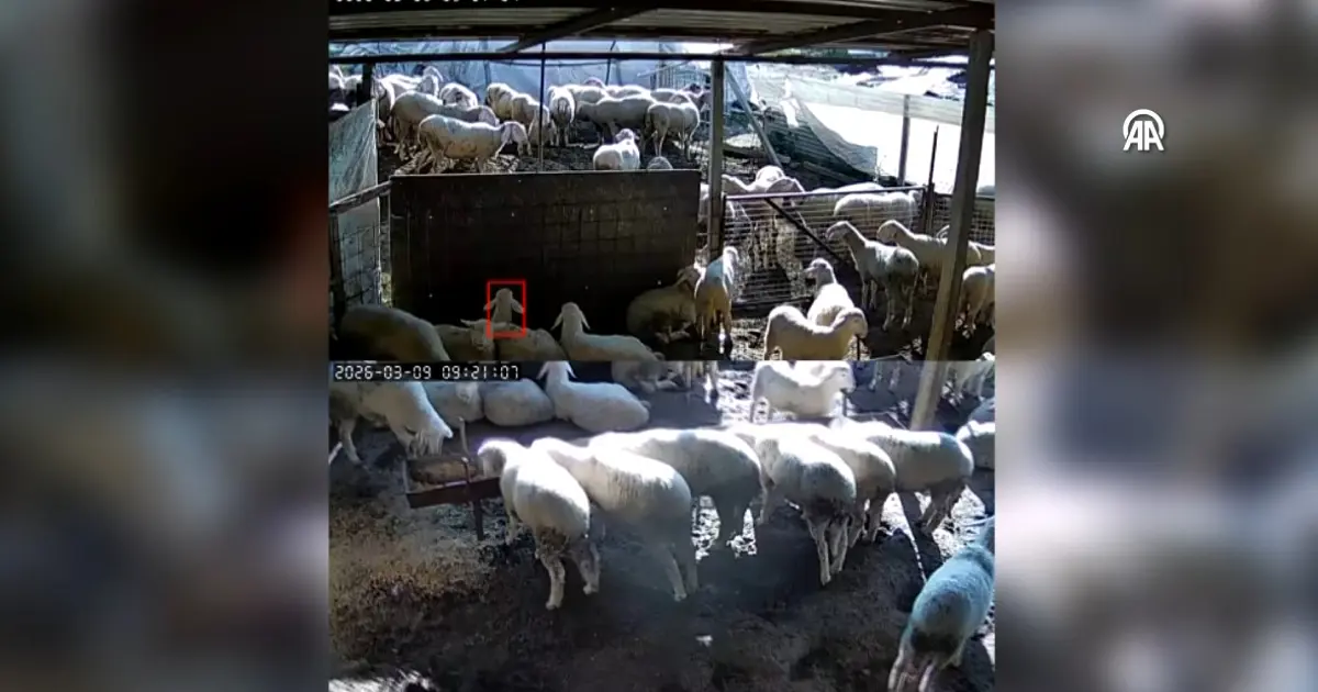 Denizli’de 5.1 büyüklüğündeki deprem anı kamerada