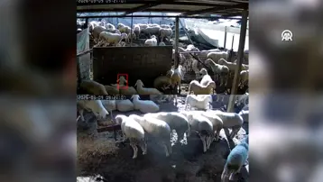 Denizli’de 5.1 büyüklüğündeki deprem anı kamerada