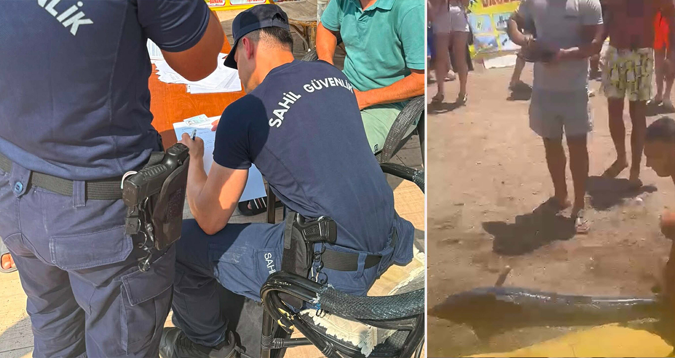 Kılıç balığını kuyruğundan çekip karaya çıkardı cezayı yedi 