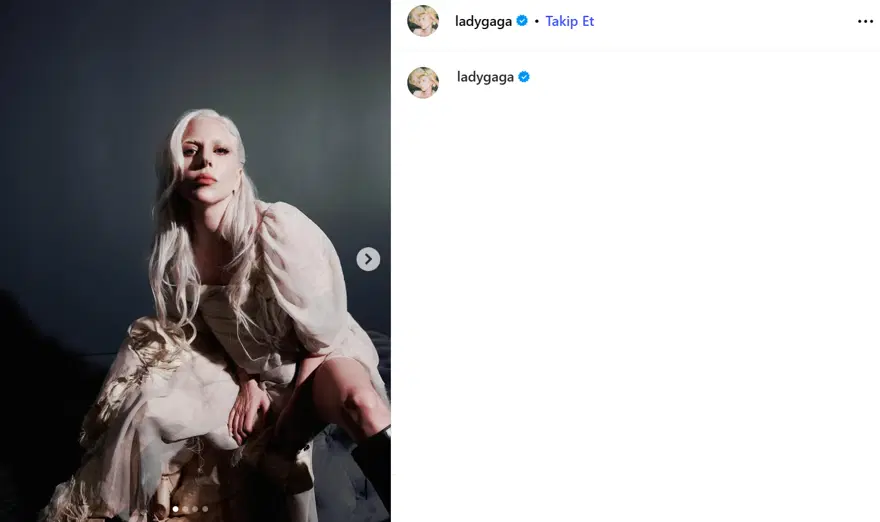 Lady Gaga'nın hayali gerçekleşti. İlk kez anne oldu 2