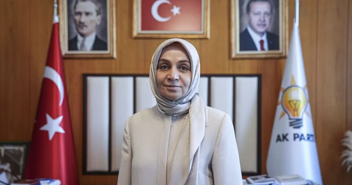 Terörsüz Türkiye süreci | Çerçeve yasa ne zaman gelecek? AK Partili Usta'dan açıklama
