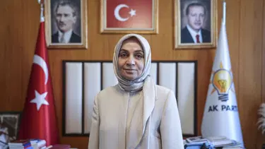 Terörsüz Türkiye süreci | Çerçeve yasa ne zaman gelecek? AK Partili Usta'dan açıklama