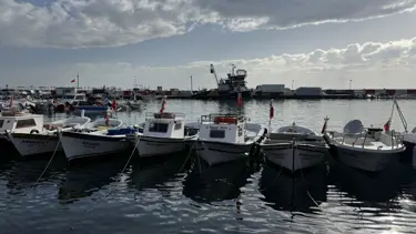 Lodos bitti, balıkçılar denize açıldı