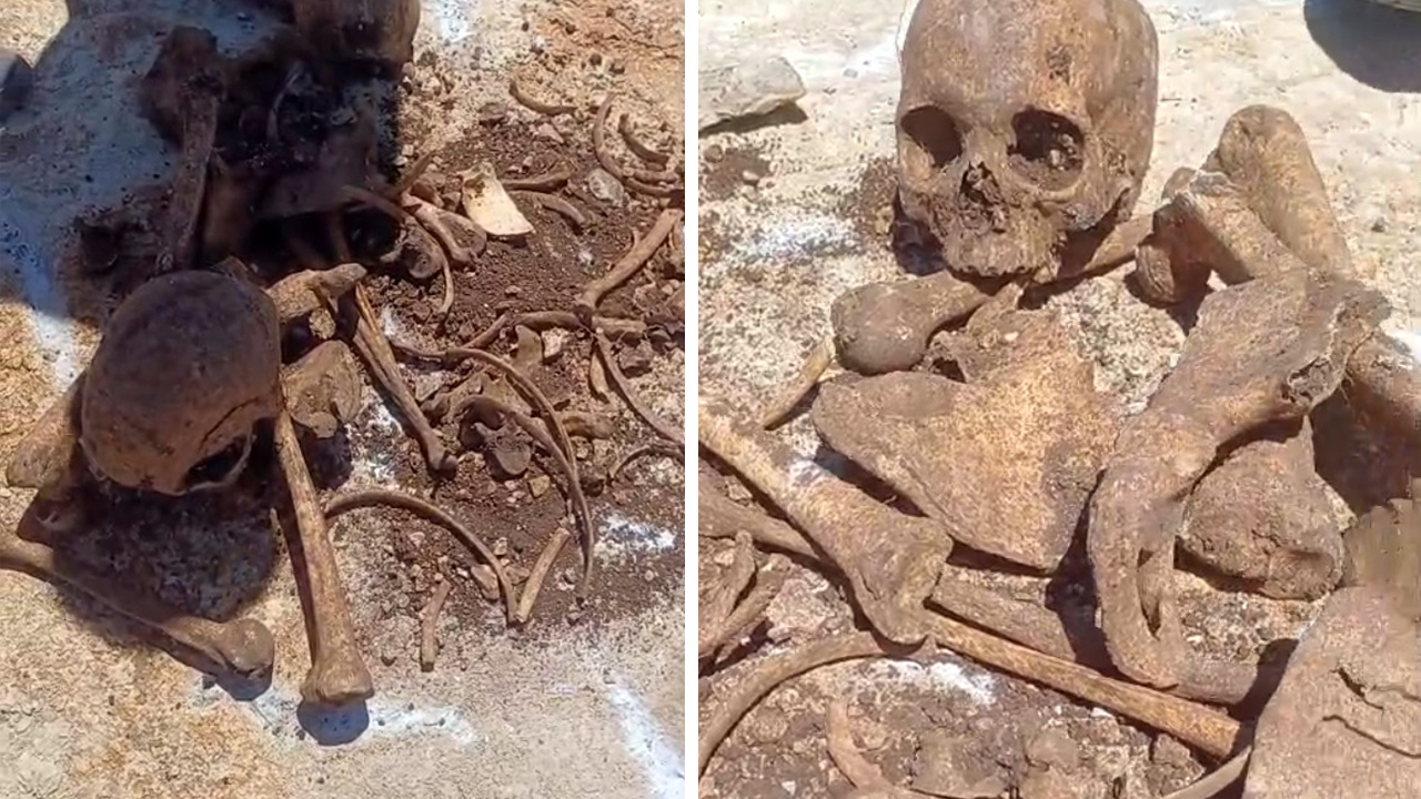 İnşaat kazısından insan kemikleri çıktı