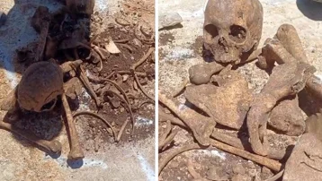 İnşaat kazısından insan kemikleri çıktı