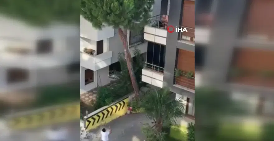 Maltepe'de mahalleyi ayağa kaldıran çığlıklar. Balkondaki adama taş yağdırdılar 3 Maltepe'de mahalleyi ayağa kaldıran çığlıklar. Balkondaki adama taş yağdırdılar 3