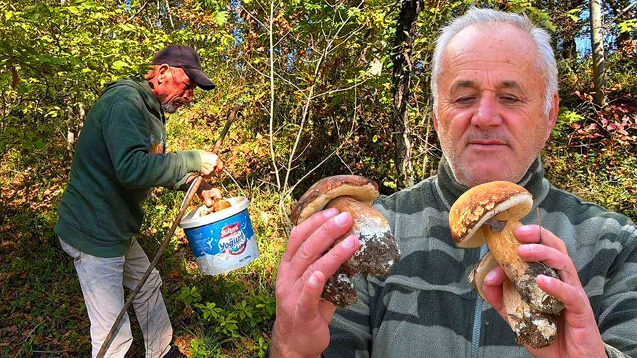 Geçen yıl kilosu 200 liraydı, bu sene 500 lira: Artık gramla satılıyor