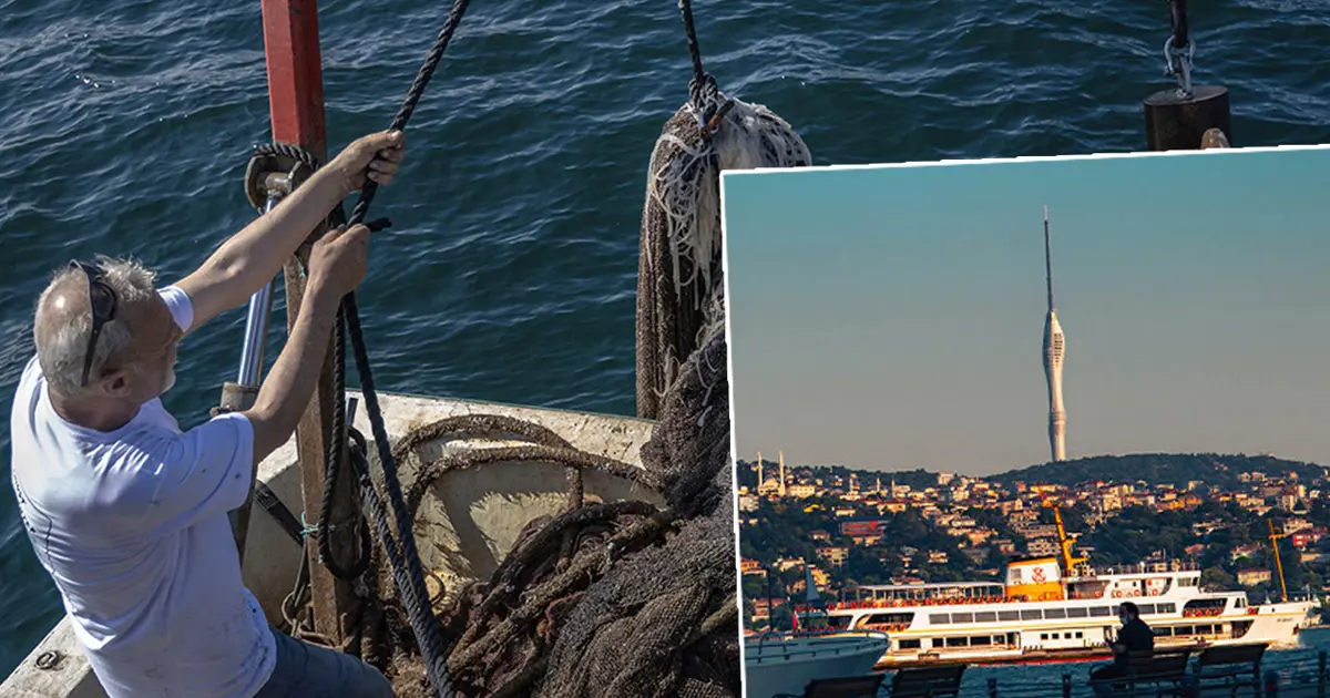 Marmara Denizi'nin dibinde bulundu: Boyu Çamlıca Kulesi kadar