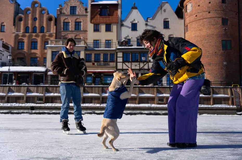 Avrupa ve ABD'de kanallar buz tuttu, insanlar kaymaya gitti