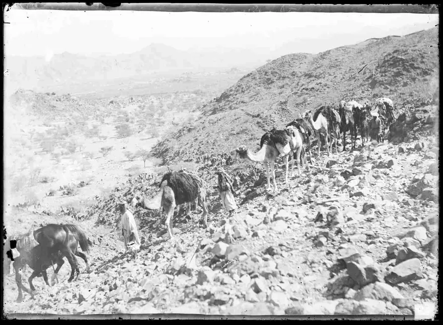 Fahreddin Paşa Medine`de Yenbul-Nahl harekatında 17