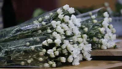 Çiçek mezatlarında Öğretmenler Günü yoğunluğu