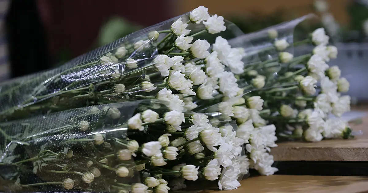 Çiçek mezatlarında Öğretmenler Günü yoğunluğu