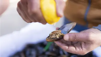 Böcek ailesine ilişkin ön otopsi raporu çıktı 