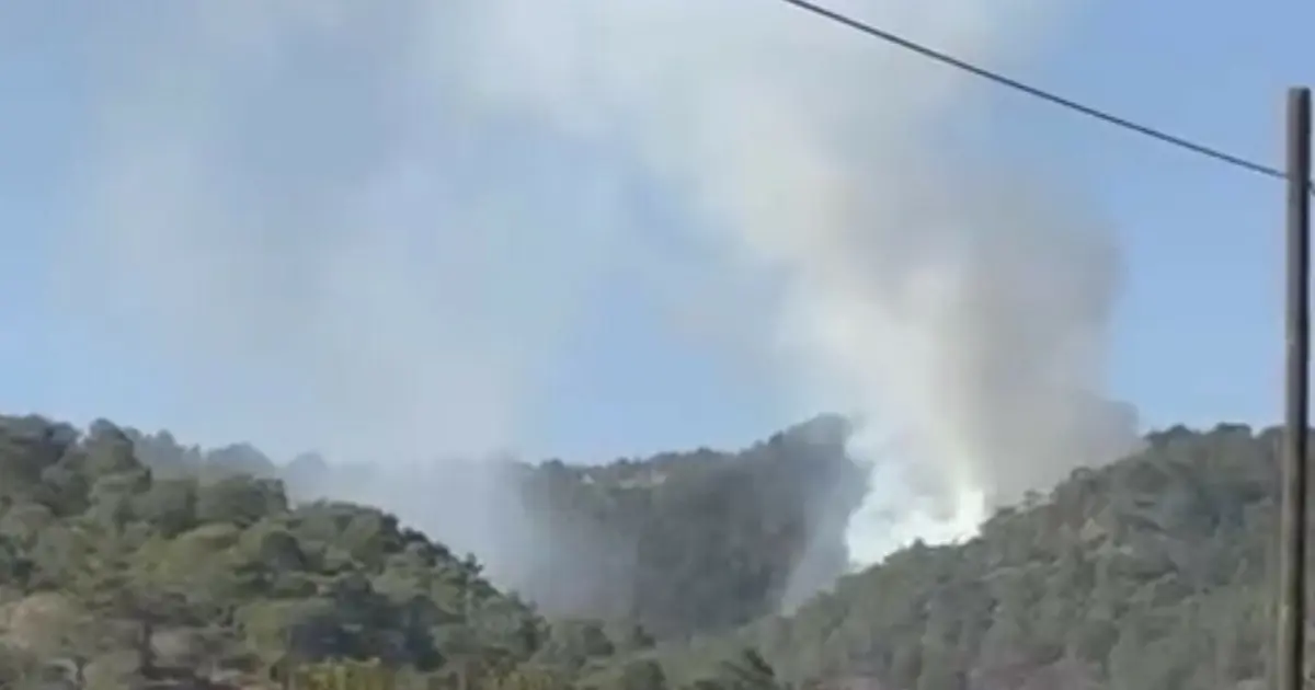 Muğla'da orman yangını