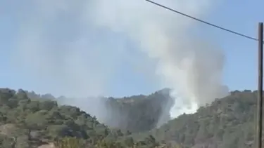 Muğla'da orman yangını