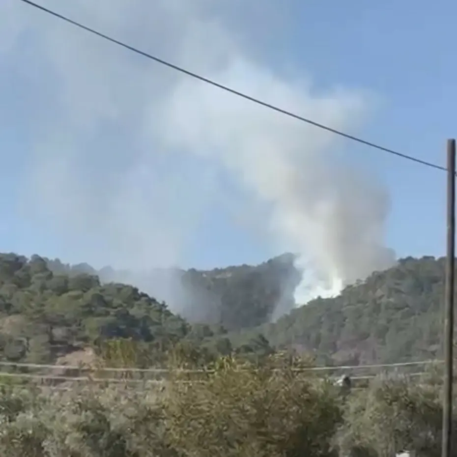 Muğla'da orman yangını