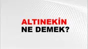 Altınekin