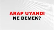 Arap Uyandı (Veya arap'ın gözü açıldı)