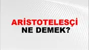 Aristotelesçi