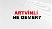 Artvinli