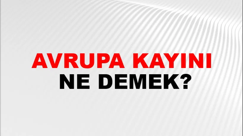 Avrupa Kayını Avrupa Kayını