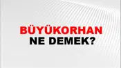 Büyükorhan