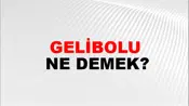 Gelibolu