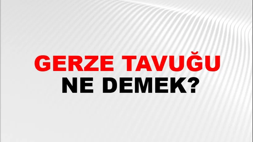 Gerze Tavuğu Gerze Tavuğu