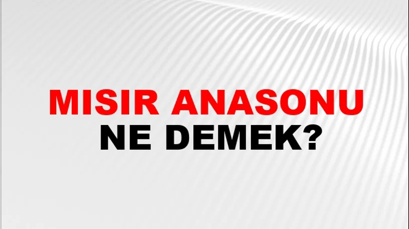 Mısır Anasonu Mısır Anasonu
