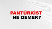 Pantürkist