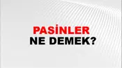Pasinler