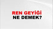 Ren Geyiği