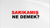 Sarıkamış