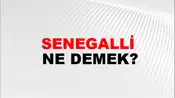 Senegalli