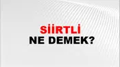 Siirtli