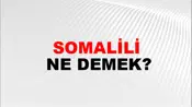 Somalili