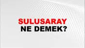 Sulusaray