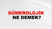 Sümerolojik
