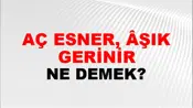 Aç Esner, Âşık Gerinir