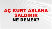 Aç Kurt Aslana Saldırır