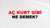 Aç Kurt Gibi