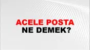 Acele Posta