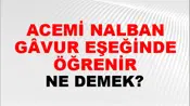 Acemi Nalbant Gâvur Eşeğinde Öğrenir