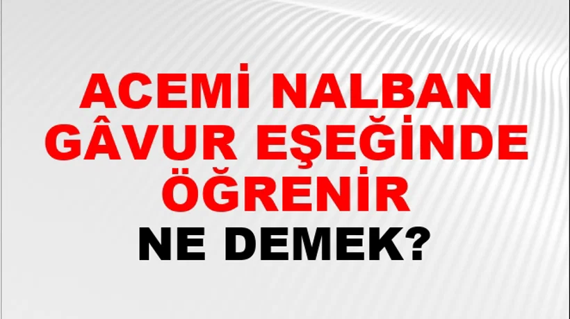 Acemi Nalbant Gâvur Eşeğinde Öğrenir Acemi Nalbant Gâvur Eşeğinde Öğrenir