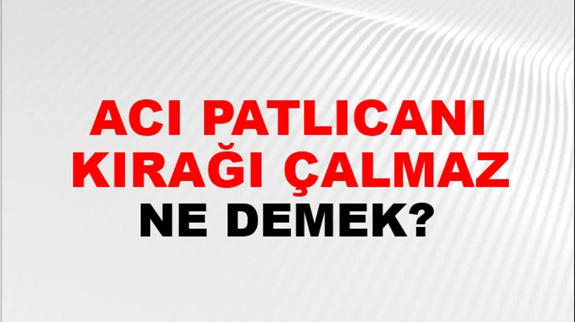 Acı Patlıcanı Kırağı Çalmaz Acı Patlıcanı Kırağı Çalmaz