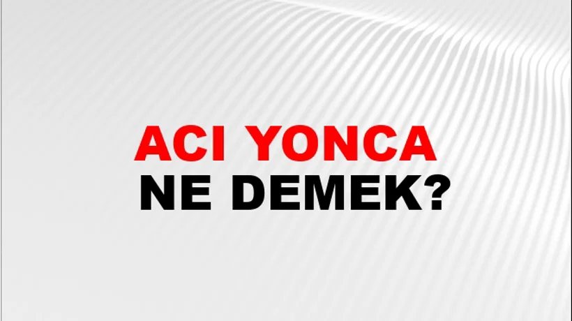 Acı Yonca Acı Yonca