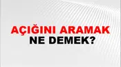 Açığını Aramak