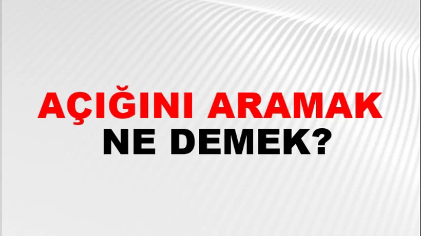 Açığını Aramak Açığını Aramak