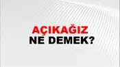 Açıkağız